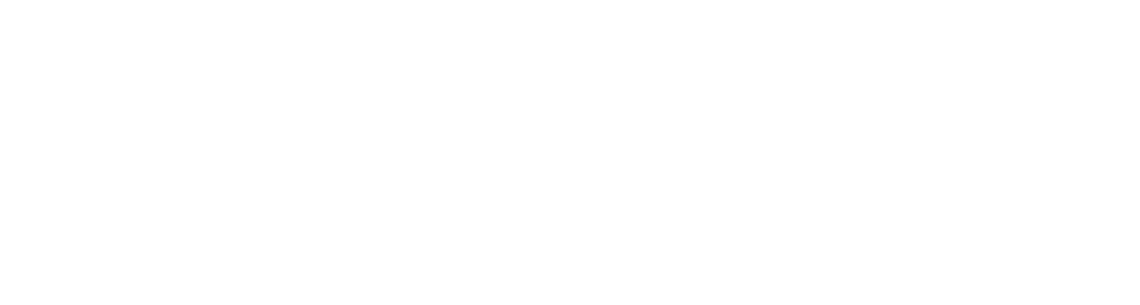Third Act Consultants